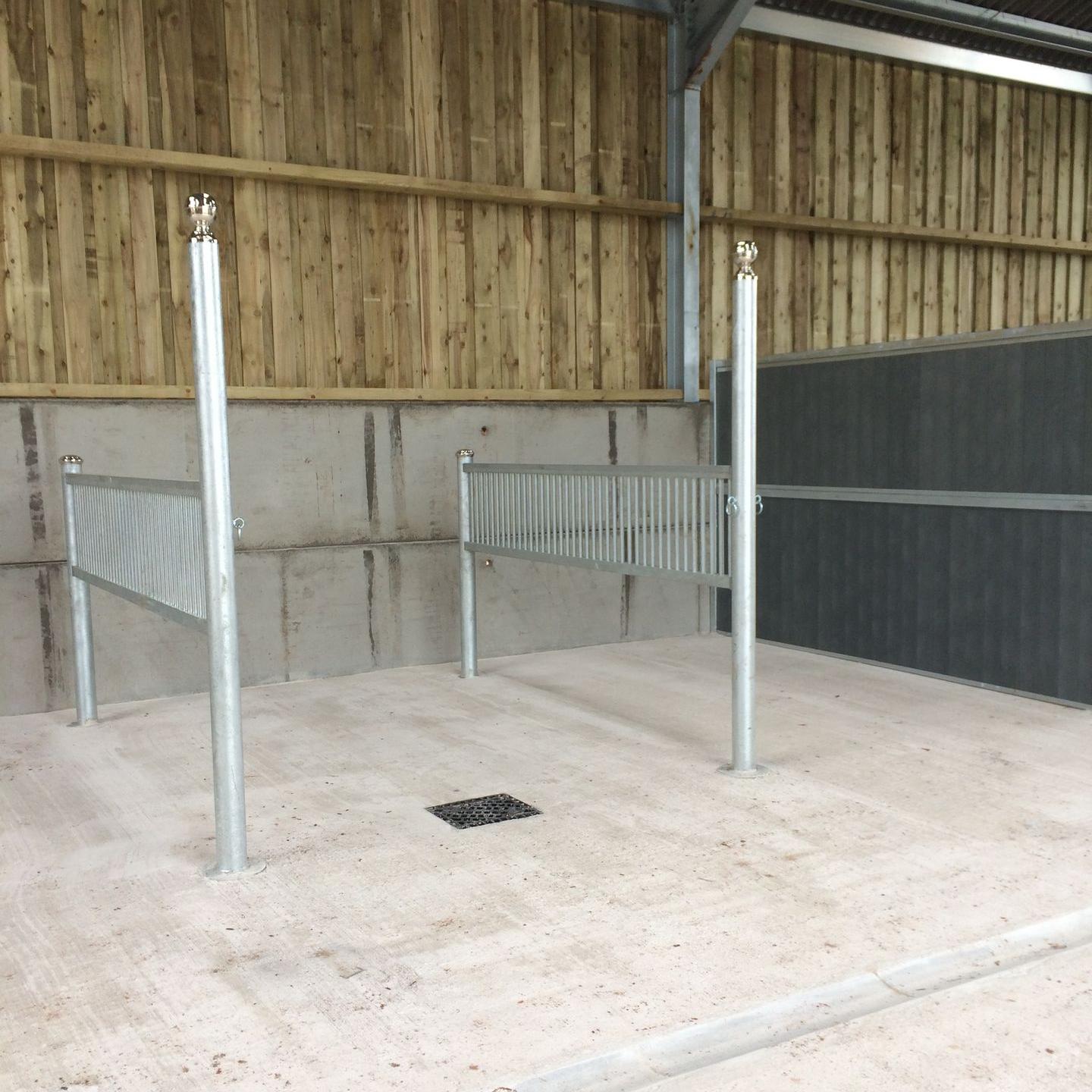 Wash Bays for Horses Jelka